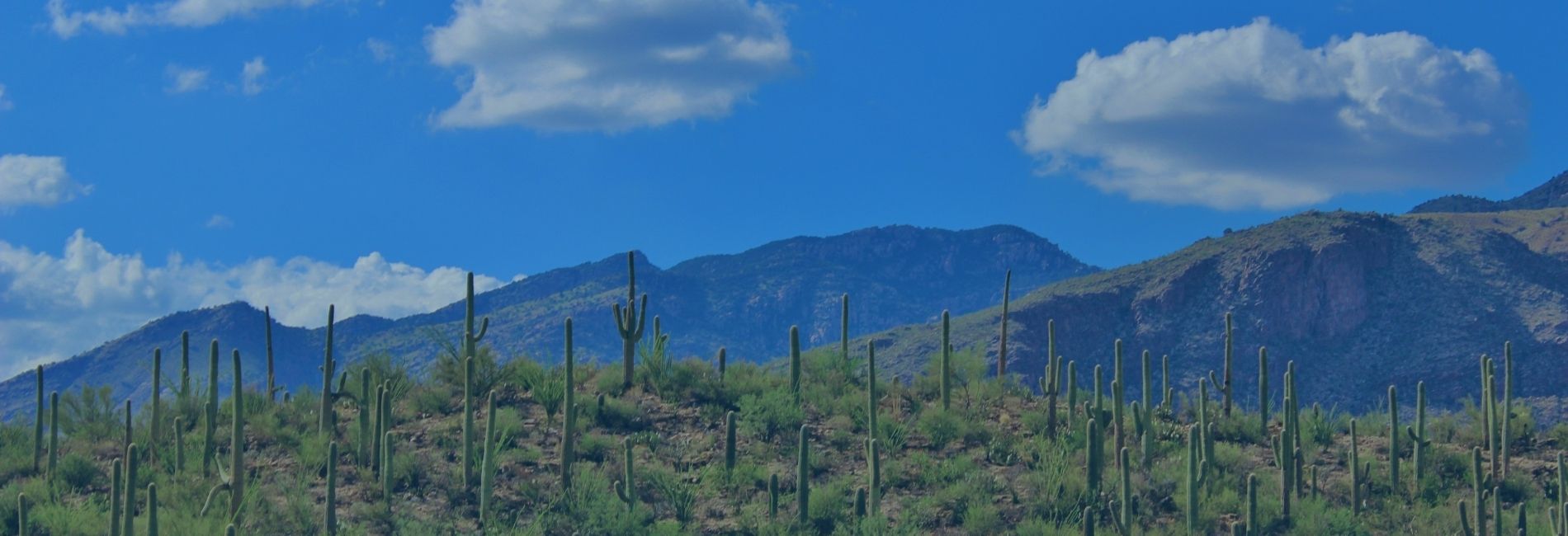 5 Hotels with Park Stay Fly Packages Near TUS Airport