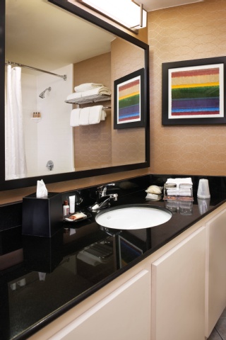 Sheraton Suites Chicago O'Hare , IL 60018 near Ohare International Airport View Point 22