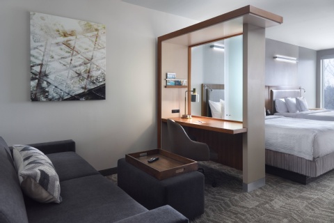 SpringHill Suites by Marriott Atlanta Airport Gateway , GA 30337 near Hartsfield-jackson Atlanta International Airport View Point 16