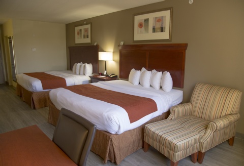 Comfort Suites At Fairgrounds-Casino , FL 33584 near Tampa Cruise Port View Point 12